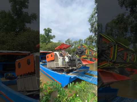 Máy Cắt Lúa Kubota DC 105X