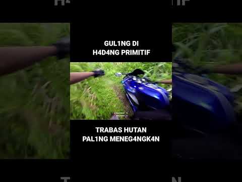 trabas hutan