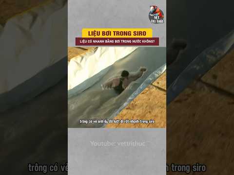 Liệu bơi trong siro có nhanh như trong nước không? #shorts