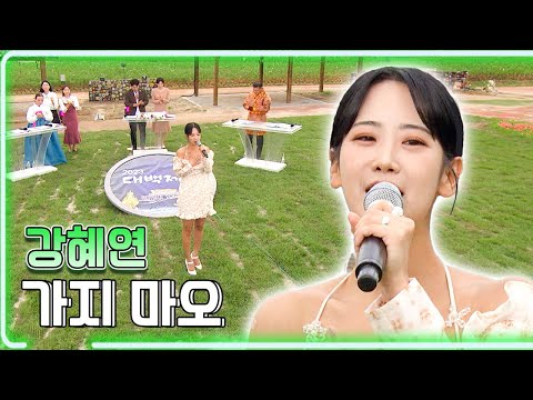 강혜연 - 가지 마오 / KBS대전 20230922 방송 [하루한곡]