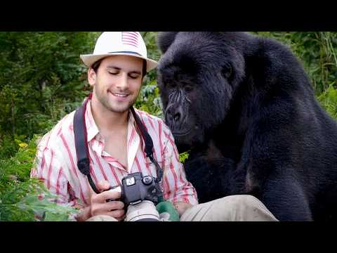 Animals SHOCK Humans in the Cutest Ways 🤩 Funny Animal Videos 2025