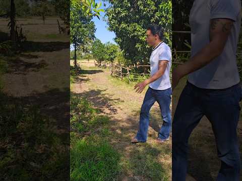 😂😂😂 #funny #โบ๊ะบ๊ะshorts