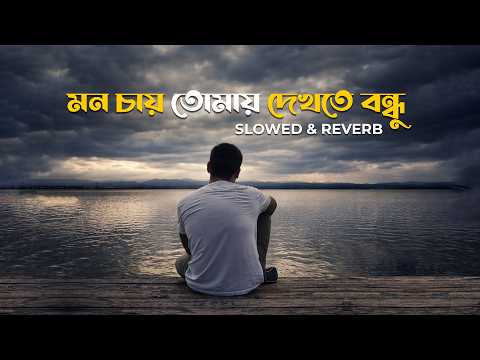 Mon Chay Tomay Dekhte Bondhu | Lofi Remix | āĻŽāύ āĻāĻžā§ āϤā§āĻŽāĻžā§ āĻĻā§āĻāϤ⧠āĻŦāύā§āϧ⧠| Atif Ahmed Niloy | BanglaLofi