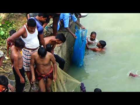 Best Fishing in Sluice Gate 