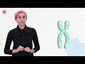 Functions and Roles of DNA Elements