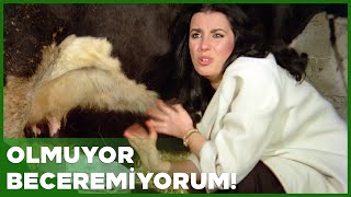 Sosyete Şaban Türk Filmi | Peri Süt Sağmaya Çalışıyor!