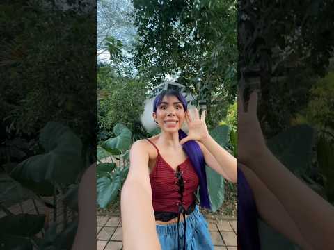 Viviendo en un avíon estrellado ✈️😳