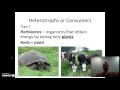 Ecology Vocabulary Challenge