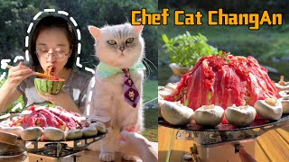 Camping with a Cat Chef |Cat Cooking Food | Cute And Funny Cat