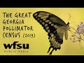 Pollinators and Their Importance