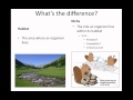 Ecological Concepts and Relationships