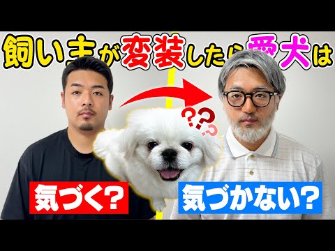 【ドッキリ】飼い主が特殊メイクで変装したら愛犬は気づく？気づかない？