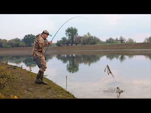 РЫБАЛКА С НОЧЁВКОЙ. ЗАКОРМИЛИ 8 ЛОДОК КУКУРУЗЫ и вот что вышло. САМАЯ ТИХАЯ РЕКА. ГРОЗА и УХА