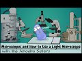 Microscopy Concepts and Techniques