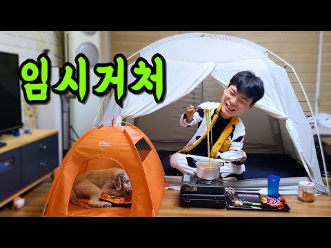 주인집으로 피난갔습니다....