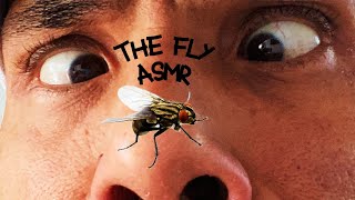 The Fly ASMR (a chaotic vlog)