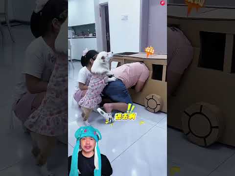 DOGI JADI KERNET BUS 😄 @FactsInspireHub #remix #dubbing #musang #fyp #trending