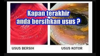 Detox Usus menyelamatkan hidup anda