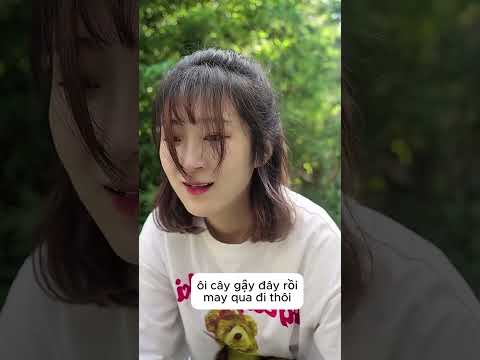 Chú chó thông minh và cô chủ mù tội nghiệp p1#dogs #shorts