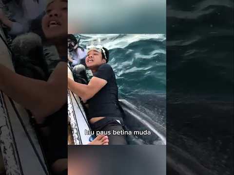 Tali Luka Sang Hiu #shorts