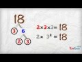 Mastering Prime Factorization and Factor Trees
