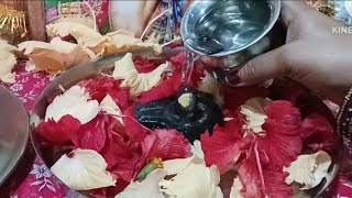 Laxmi ki vridhi ke liye#kare somwar ko achuk upay🌺🌺🌺🌺🌺💯💯💯💯💯#pradeepji🙏🙏🙏#trending#video#shiv##mahima