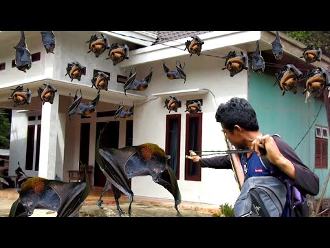 GILA‼️JUTAAN  KALONG PENGHUNI ISTANA WARGA SEMUA SNIPER JITU KELUARKAN KEMAMPUAN SAMPAI KELELAHAN