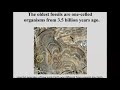 Earth's Atmosphere and Life Development