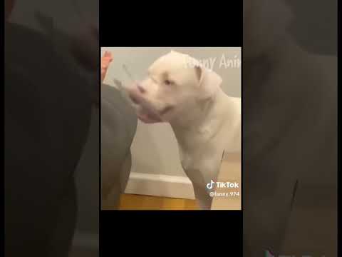#ржунемогу