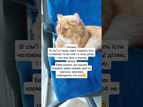 Їжа #сільськежиття #село #гуморпоукраїнськи #жарти #смішнівідео #чоловік #жінка #господарство #cat