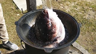 видео