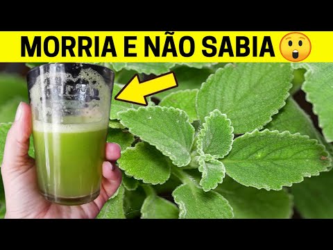 1 Folha Destrói Diabetes, Colesterol Ruim, Gordura, Inflamações, Úlceras (Você sabia disso?)