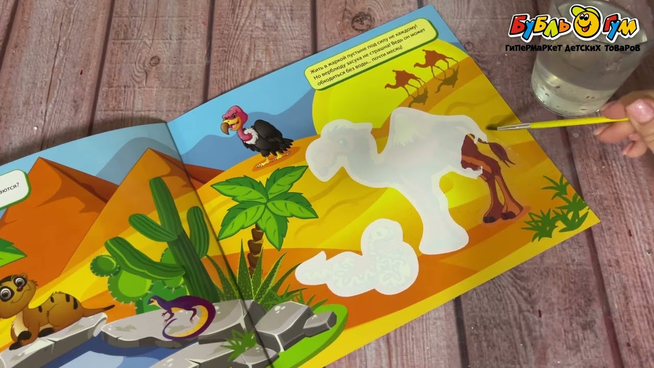 Раскраски водные многоразовые Дикие животные - видео