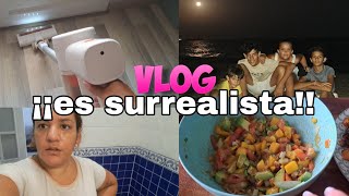 NOTICIAS‼️APARECEN HORMIGAS 🐜 CEVICHE Y 🌕 DE CIERVO||vlog