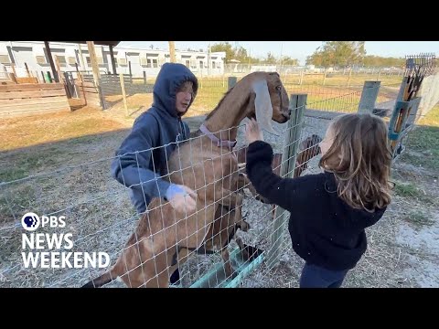 YouTube video thumbnail: Academy at the Farm Instills Confidence in Kids With Lessons in Animal Care