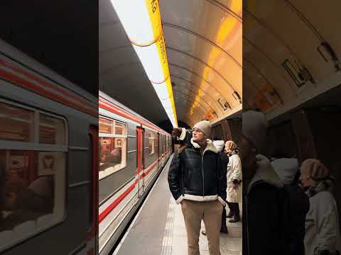 People’s reactions to a Royal Cat 👑on the Prague Metro 📍