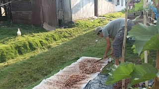 Tinggal di rumah sederhana pedesaan buat hati tenang dan nyaman