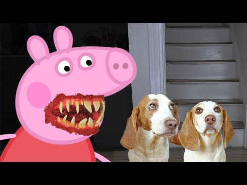 Dogs Battle Evil Peppa Pig In Real Life!
