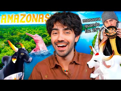 será que o estado do AMAZONAS é só mato???