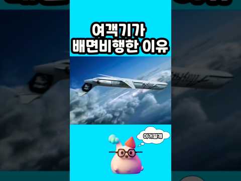 [200만] 위아래 거꾸로 비행한 여객기의 운명은?