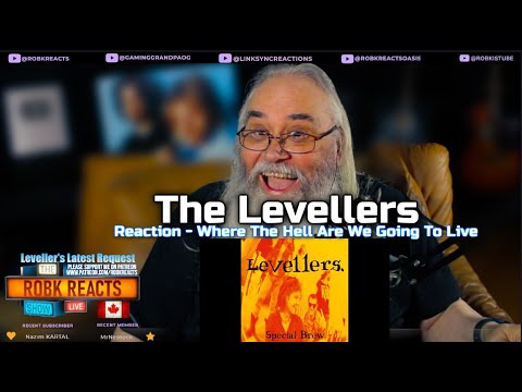 The Levellers Reaction - Where The Hell Are We Going To Live | First Time Hearing - Requested