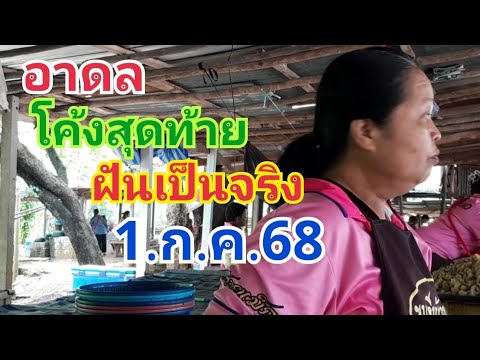 อาดล.โค้งสุดท้าย.ฝันเป็นจริง1.ก.ค.68