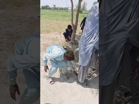 last tak Dekho bachay ka shararat Dekho #funny #funnyshorts  #trending #funnyvideo #funnymoments