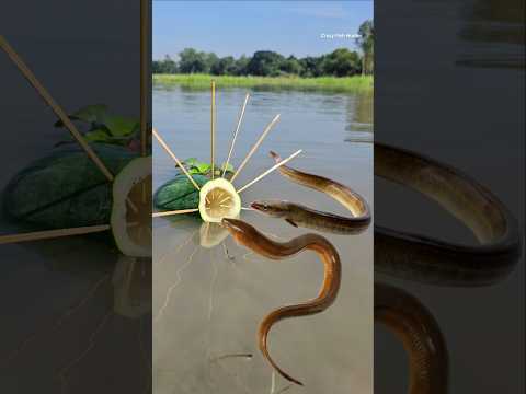Survival Skills: Simple and Useful with Papaya Eel Trap|  Challenge Video,#survival #camping #shorts