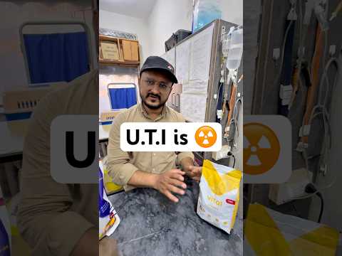 Cats ko Acha Khana Khilao 😿 #uti #cats #pet #pets #viral #shorts #youtube #youtubeshorts