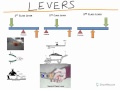 Types of Levers and Their Functions