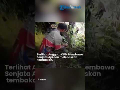 Detik-detik Anggota OPM Lari Ketakutan Terkena Tembakan Balasan Dari Aparat