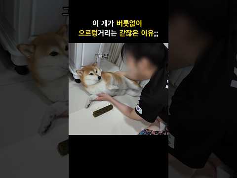 이거나 잘라오센