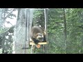 Citizen Science and Conservation Engagement