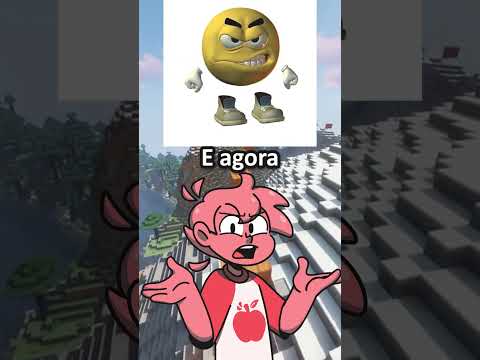 O TORAJO ME COPIOU